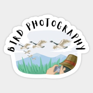 Bird Photography Sticker